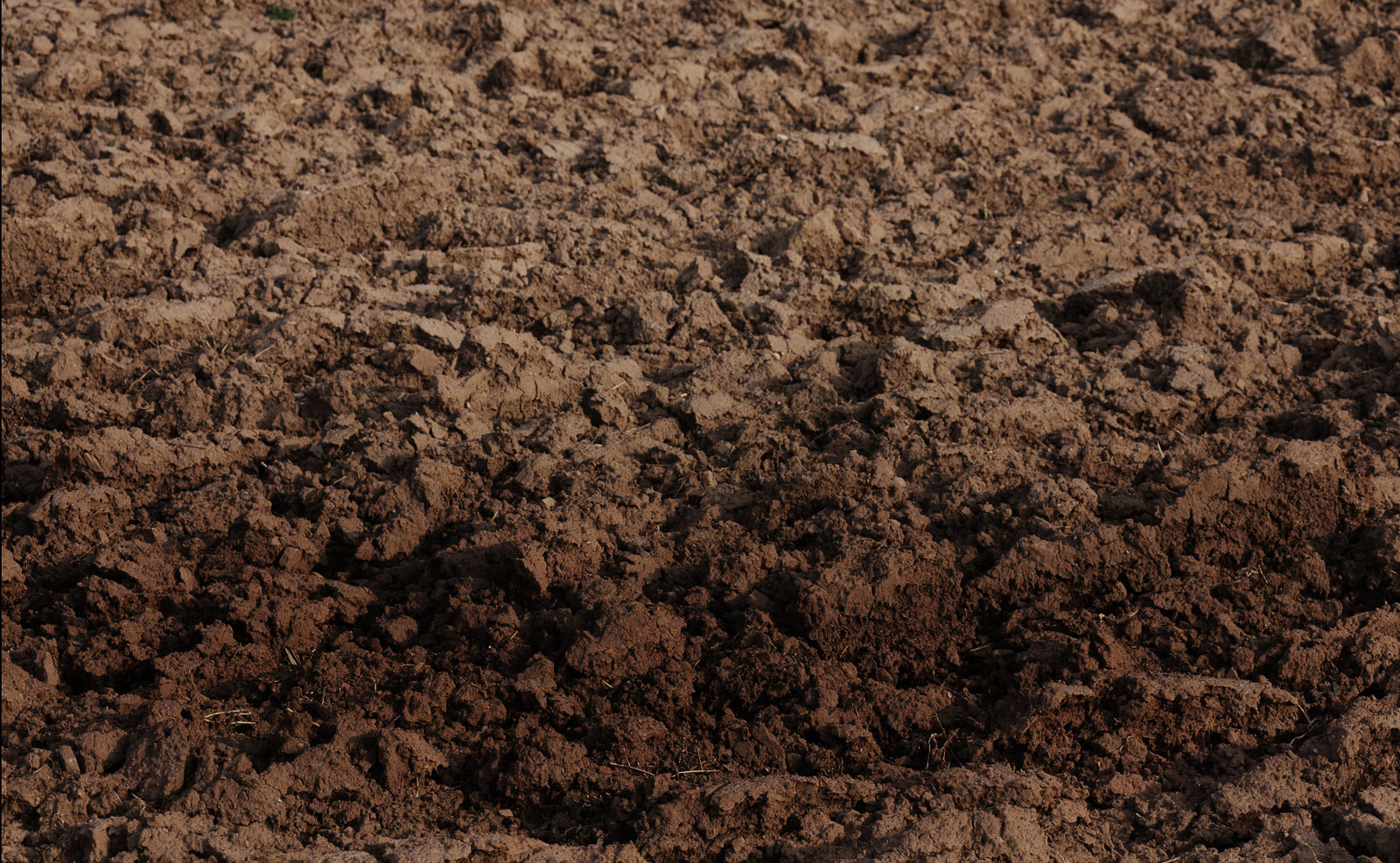 dirt texture