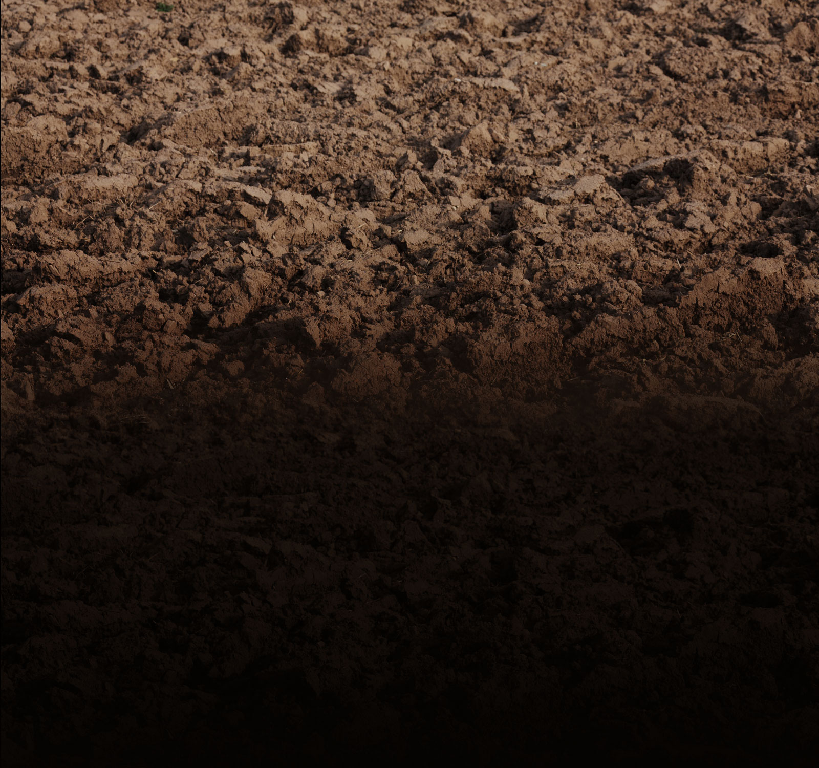 dirt texture