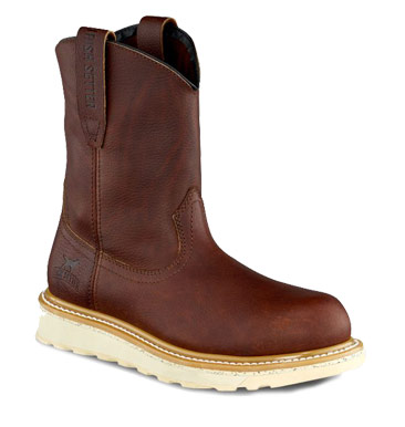 irish setter 83908