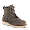 irish setter wingshooter 893